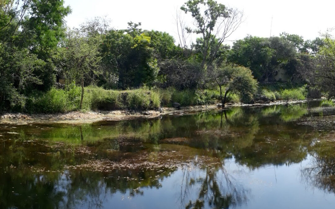 Hingolgadh Nature Education Sanctuary